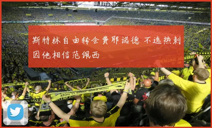 斯特林自由转会费耶诺德 不选热刺因他相信范佩西