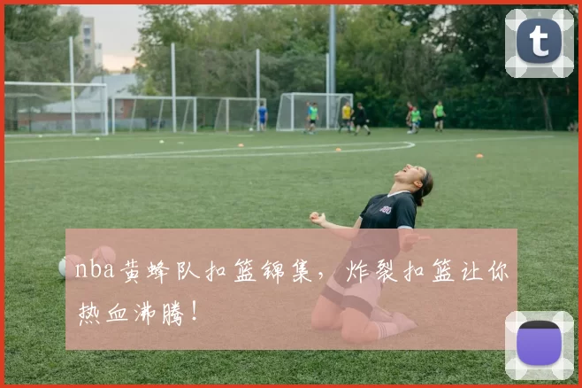 nba黄蜂队扣篮锦集，炸裂扣篮让你热血沸腾！