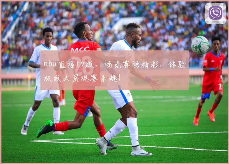 nba直播tv版，畅览赛场精彩，体验极致大屏观赛乐趣！