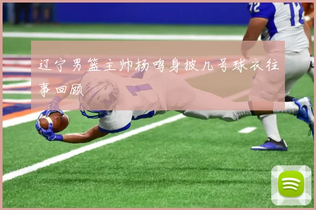 辽宁男篮主帅杨鸣身披几号球衣往事回顾