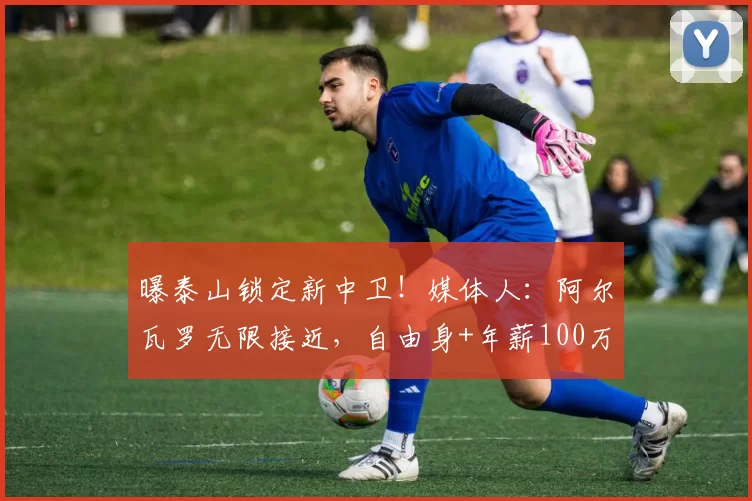 曝泰山锁定新中卫！媒体人：阿尔瓦罗无限接近，自由身+年薪100万