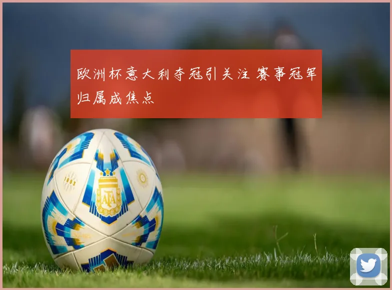 欧洲杯意大利夺冠引关注 赛事冠军归属成焦点